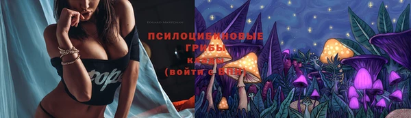 PSILOCYBIN Корсаков