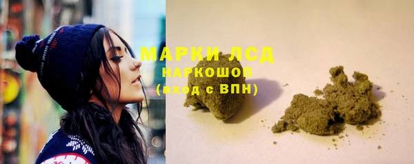 PSILOCYBIN Корсаков