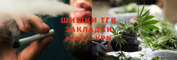 ПСИЛОЦИБИНОВЫЕ ГРИБЫ Слюдянка