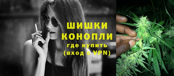 твердый Коряжма