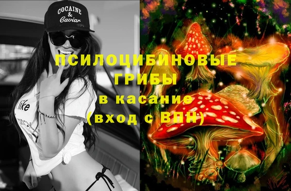 PSILOCYBIN Корсаков