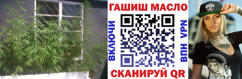 Купить  Асино  ТГК Wax 