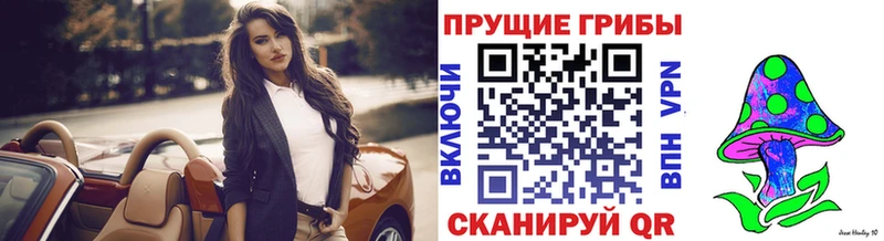 Купить Асино Галлюциногенные грибы Psilocybe